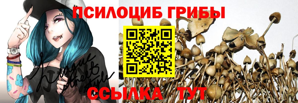 Павлово  Галлюциногенные грибы Magic Shrooms  Вход с VPN 